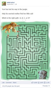 Ds maze game