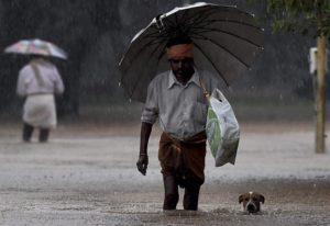 Chennai flood pti