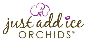 Just add ice orchids logo