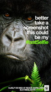 Lastselfie gorilla