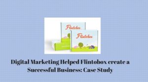 Flintobox digital marketing case study