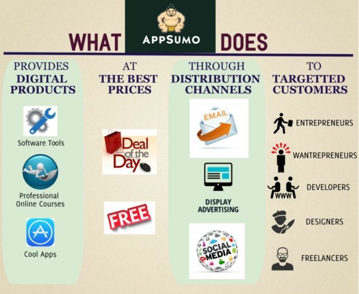 Appsumo digital marketing channels