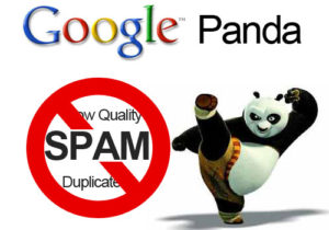 Image3 google panda seo update source seodoctors