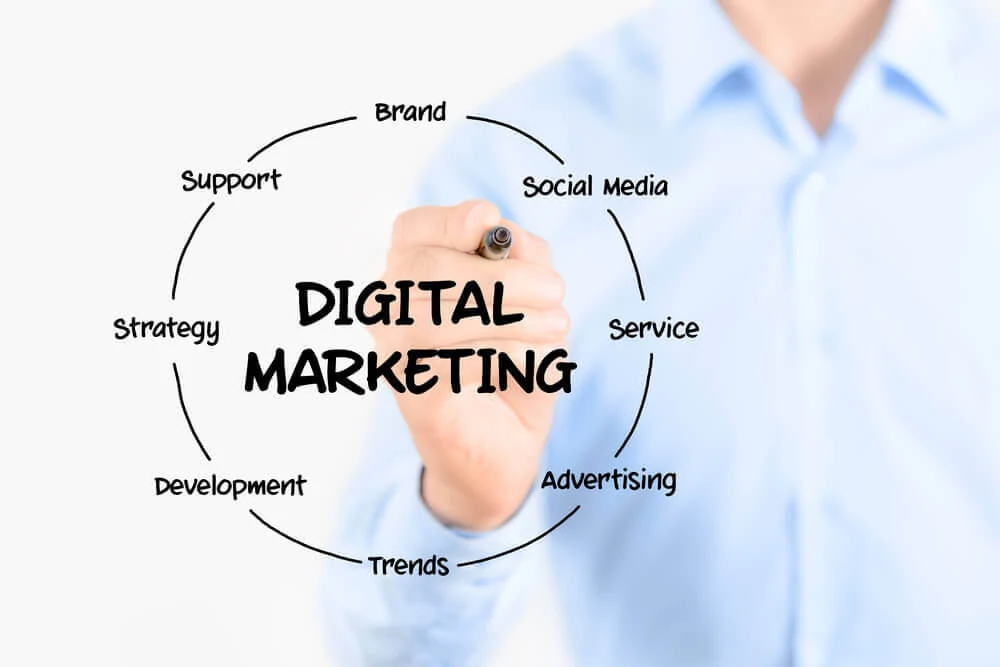 Digital marketing executive