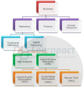 Image3 seo career path is next step for advertising marketing professionals source learnpact