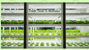 Urban farms one of the trends in agribusiness