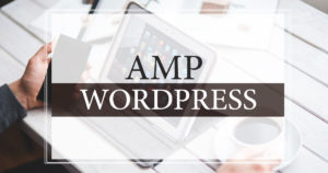 Amp wordpress