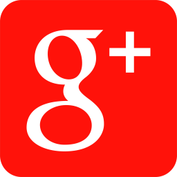 Icone google