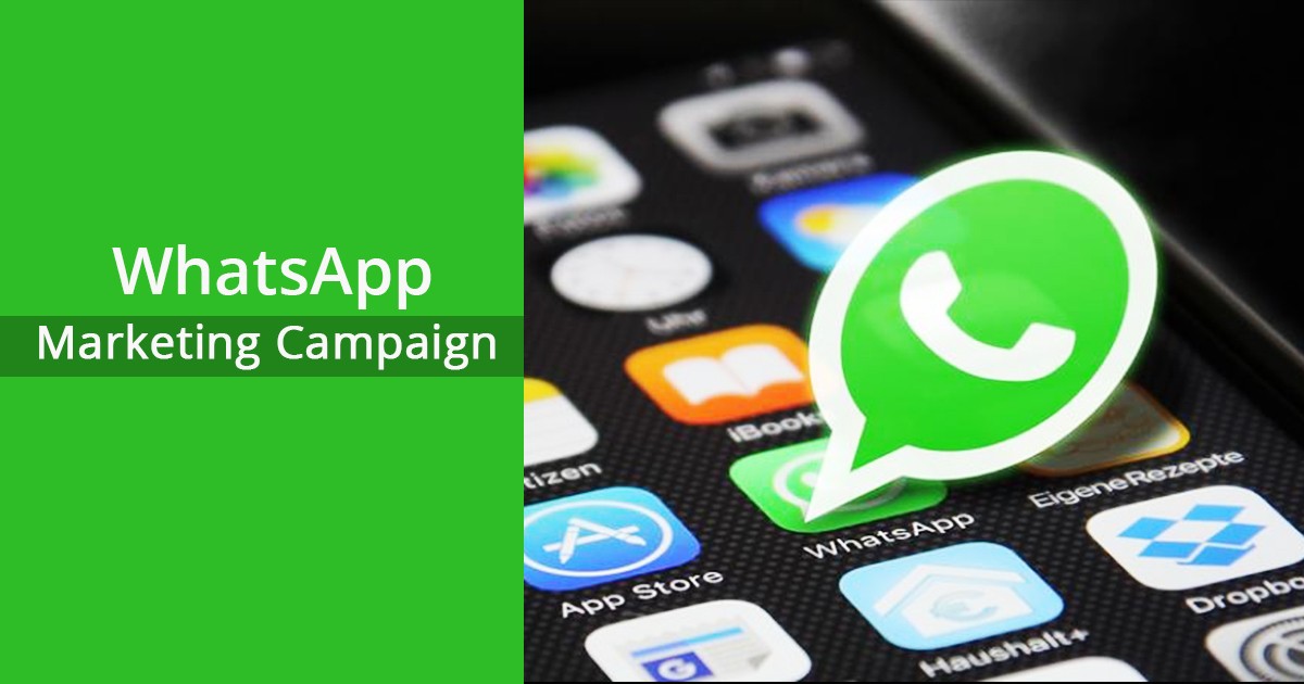 Whatsapp marketing campaign