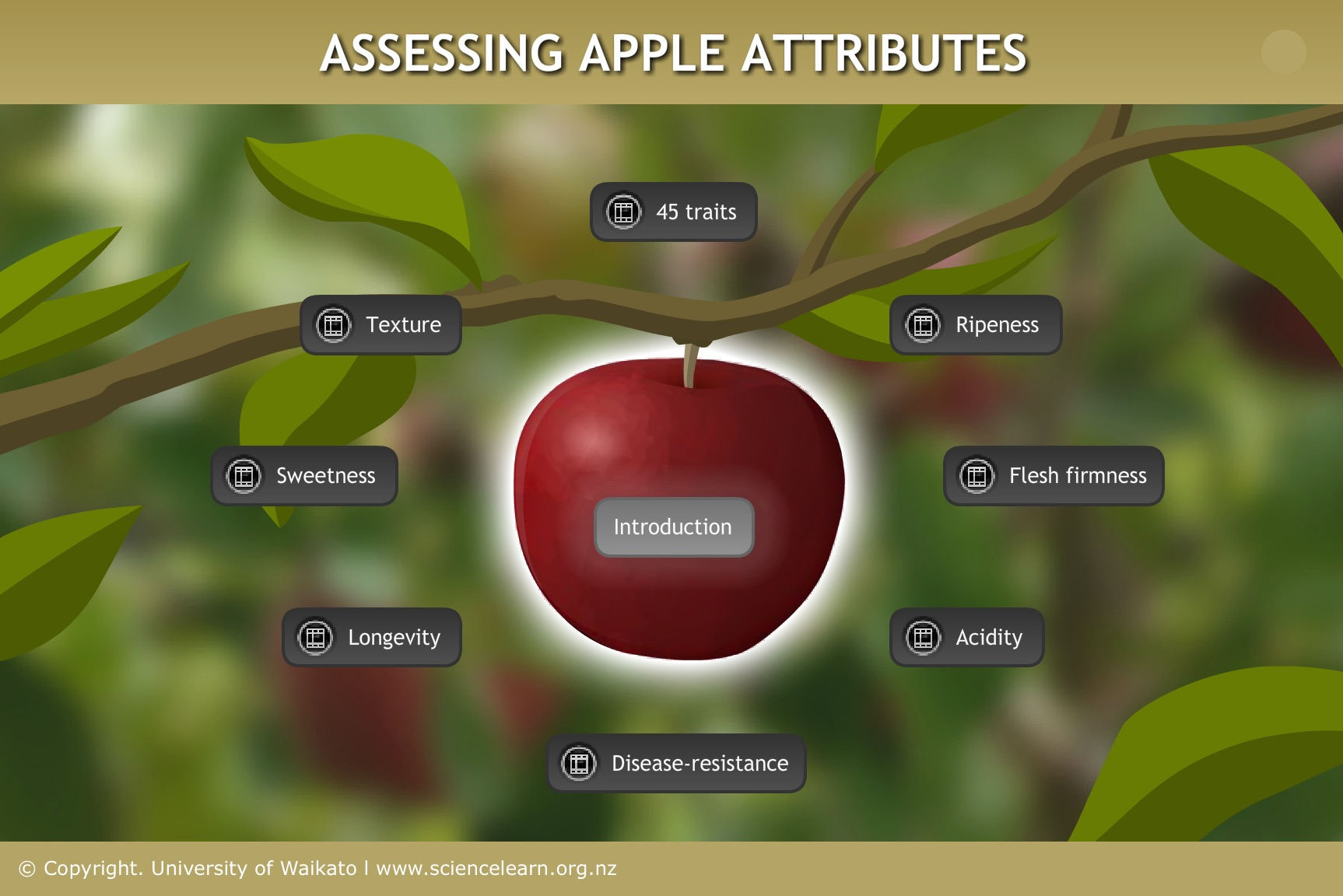Various attributes - image source - science learning hub