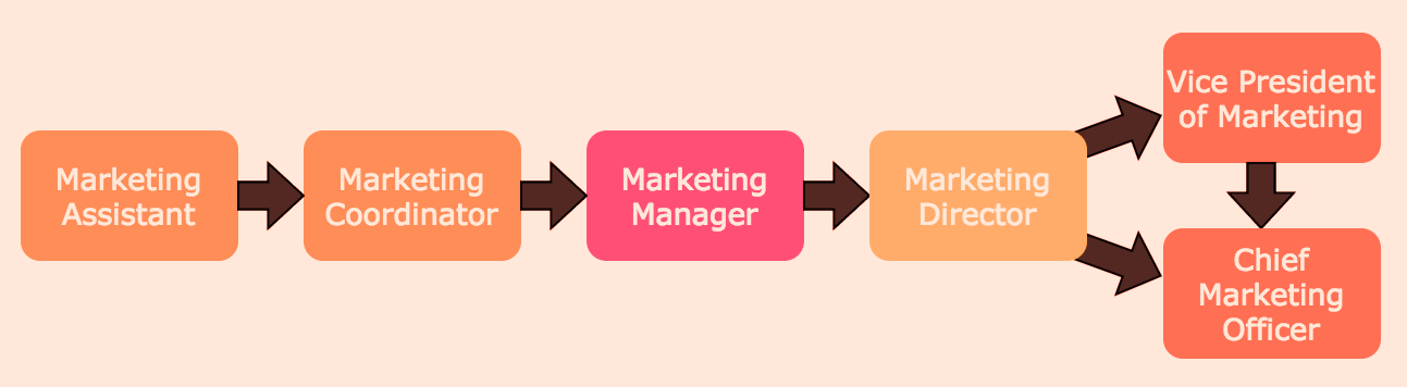 Traditional marketing career path