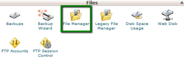 Using the file manager for running python scripts