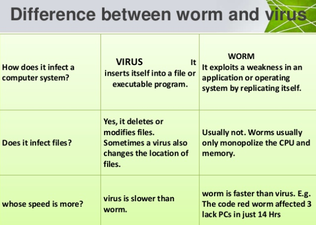 Difference between a worm & a virus