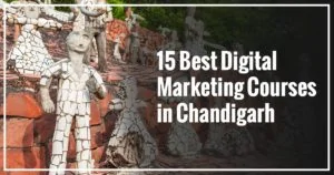 Digital marketing courses in chandigarh