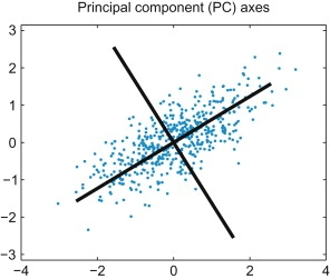 The first two principal component axes plotted with the original correlated data b.