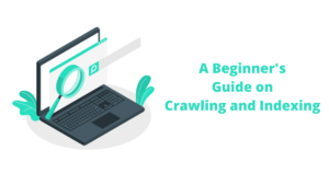 A beginners guide on crawling and indexing