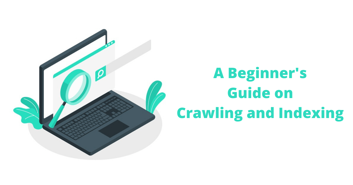 A beginners guide on crawling and