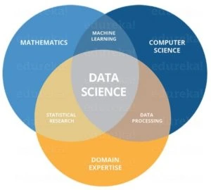 Data scientist skills
