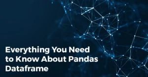 Everything you need to know about pandas dataframe min