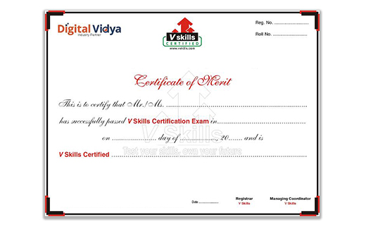 Vskills Certificate