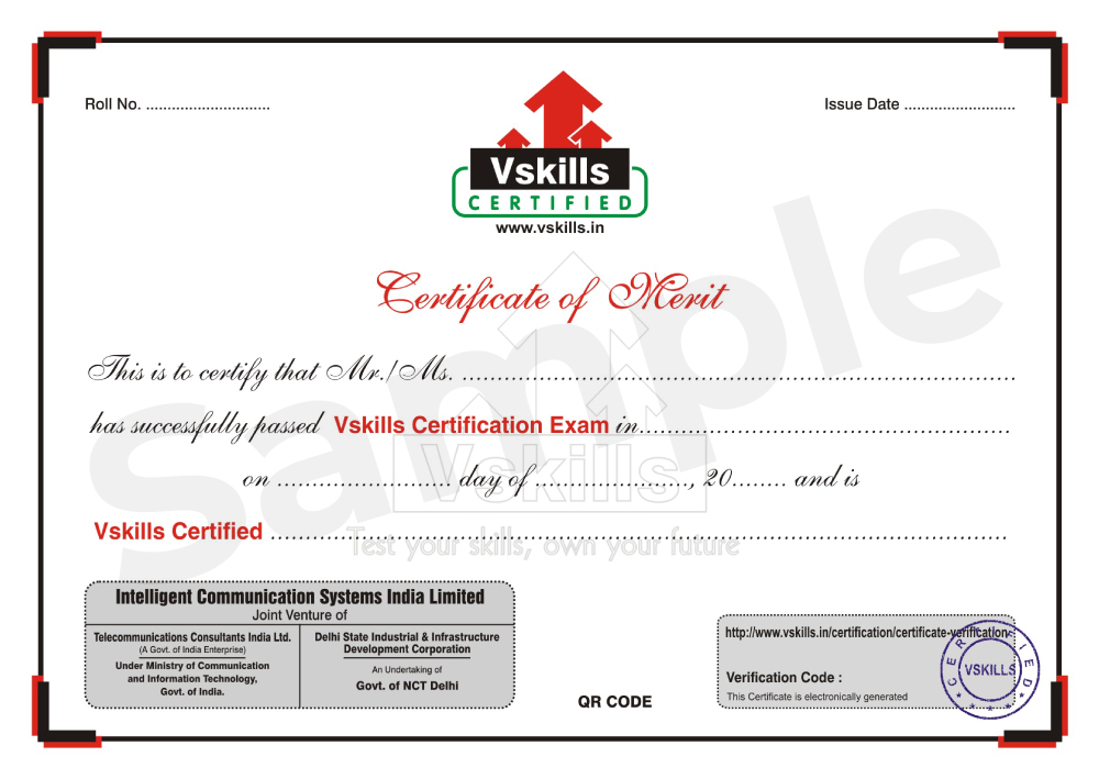vskill Certificate